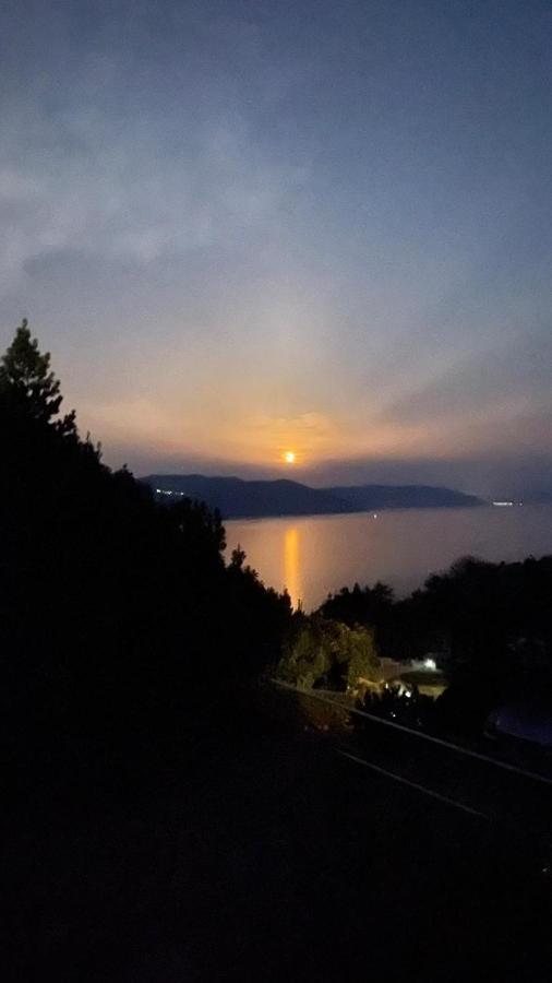 Ferienhaus Nera بلومين المظهر الخارجي الصورة